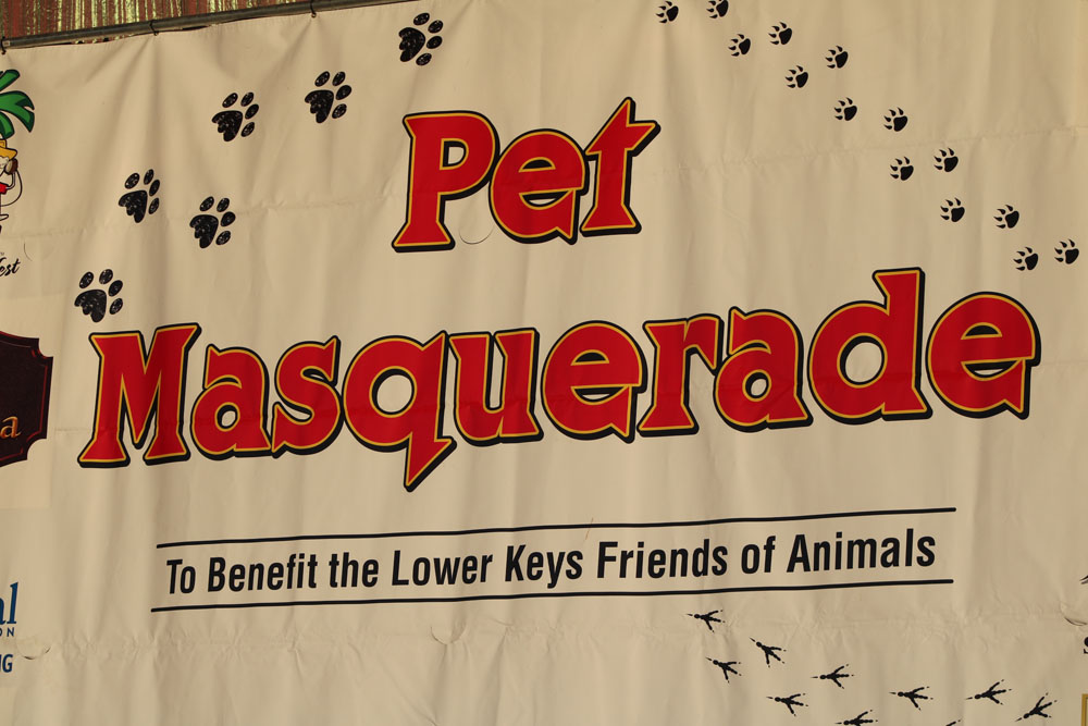Pet Masquerade 2018 photo - Duval Street, Key West